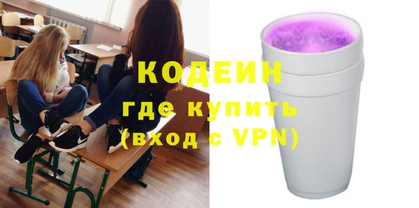 мет Няндома