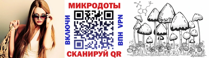 Псилоцибиновые грибы Psilocybe  Олонец 